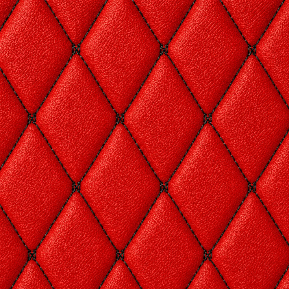 Ferrari Red & Black Stitching
